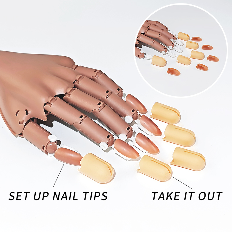 Nagel Fake Praxis Hand bewegli – Vet Tech Accessories Bewertung und Preis