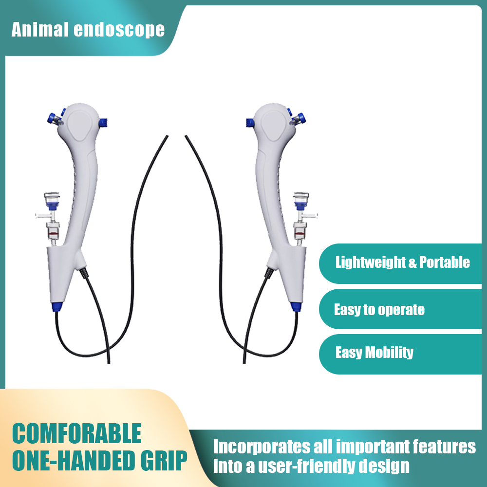 Flexible Endoskope, 1,95mm/2,5 – Vet Tech Accessories Bewertung und Preis